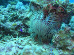 onnaDSC01856.jpg
