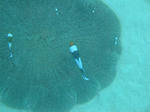 onnaDSC01878.jpg