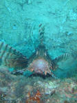 onnaDSC01881.jpg