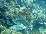 onnaDSC01901.jpg