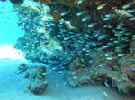 07d69226.jpg