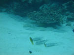 keramaDSC01642.jpg