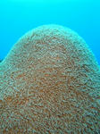 keramaDSC01681.jpg