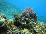 keramaDSC01714.jpg