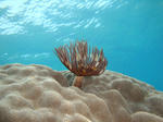 oodoDSC02274.jpg