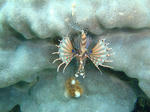 oodoDSC02272.jpg