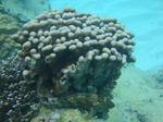 goricyoDSC02313.jpg