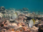 shukuIMG_0800.jpg