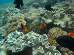 c61b7069.jpg