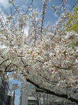 DSC_0016.JPG