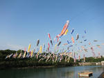 shukuIMG_2028.jpg
