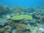 cc4f8215.jpg