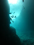 syukuIMG_2445.jpg