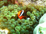 syukuIMG_2487.jpg