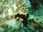 syukuIMG_2511.jpg