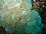 syukuIMG_2526.jpg