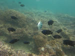 syukuIMG_2684.jpg