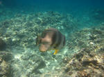syukuIMG_2780.jpg