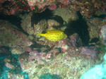 syukuIMG_2799.jpg