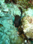 syukuIMG_2808.jpg