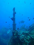 emmons4222akana-.jpg