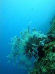 onna4394umishida.jpg