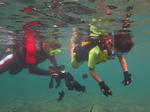 f715cf15.jpg