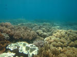 syukuIMG_3560.jpg