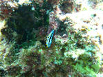 syukuIMG_3332.jpg
