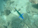 f0fb3788.jpg