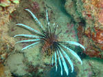 625ebb44.jpg