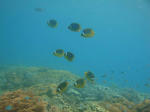 377e7922.jpg