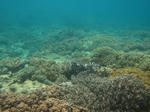 syukuIMG_3877.jpg