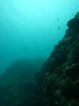 syukuIMG_3991.jpg