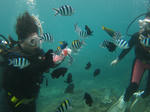 syukuIMG_3996.jpg