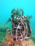 ooura1009umishida.jpg