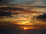 horse1011sunset.jpg
