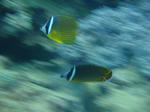 sunabe1010cyou.jpg