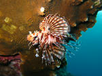 syukuIMG_4412.jpg