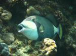 syukuIMG_4870.jpg