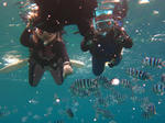 syukuIMG_5259.jpg