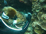 syukuIMG_5281.jpg