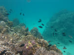 syukuIMG_5321.jpg