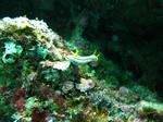 syukuIMG_5485.jpg