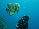 syukusyukuIMG_5714.jpg
