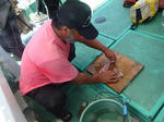 DSC07105hedo.jpg