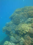 DSC07158sunabe.jpg