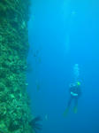 DSC07190seragaki.jpg