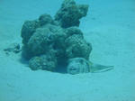 DSC07305minna.jpg