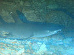 DSC07325minna.jpg